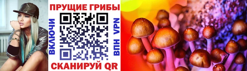 Псилоцибиновые грибы GOLDEN TEACHER  Устюжна 
